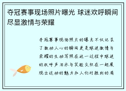 夺冠赛事现场照片曝光 球迷欢呼瞬间尽显激情与荣耀