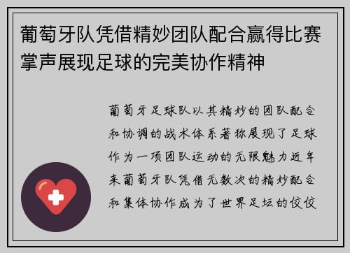 葡萄牙队凭借精妙团队配合赢得比赛掌声展现足球的完美协作精神