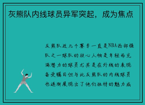 灰熊队内线球员异军突起，成为焦点